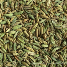 25kgs/50kgs PP Bags China Best-Selling Fennel Seeds